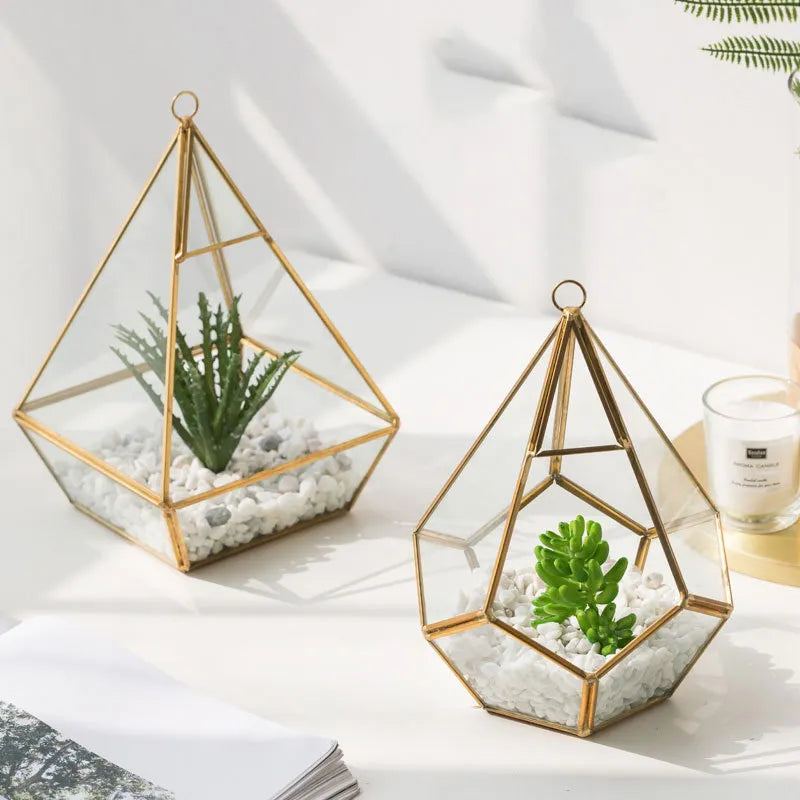 Succulent Bonsai Home Decor