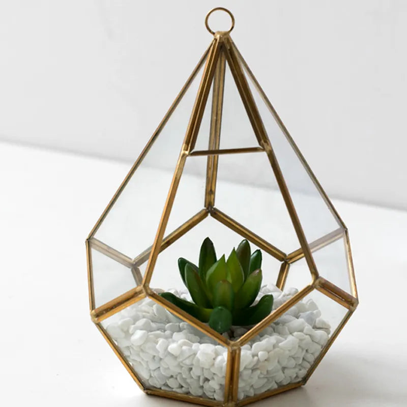 Succulent Bonsai Home Decor