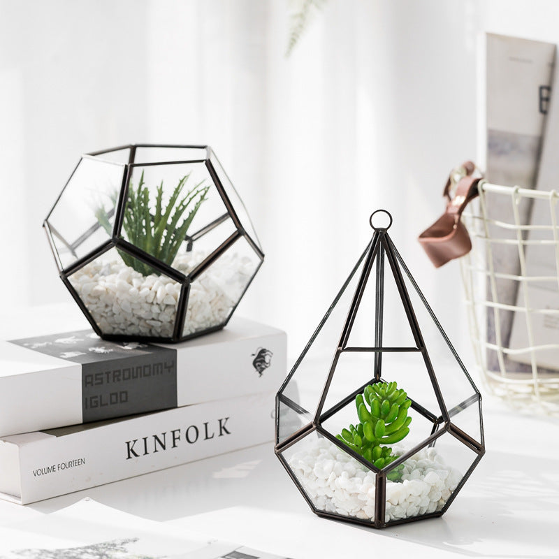 Succulent Bonsai Home Decor
