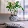 Levitating Marble Floating Plant Pot